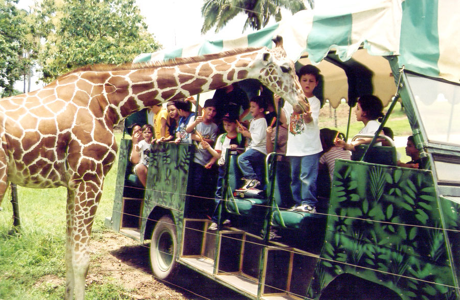 Villahermosa  El Eden