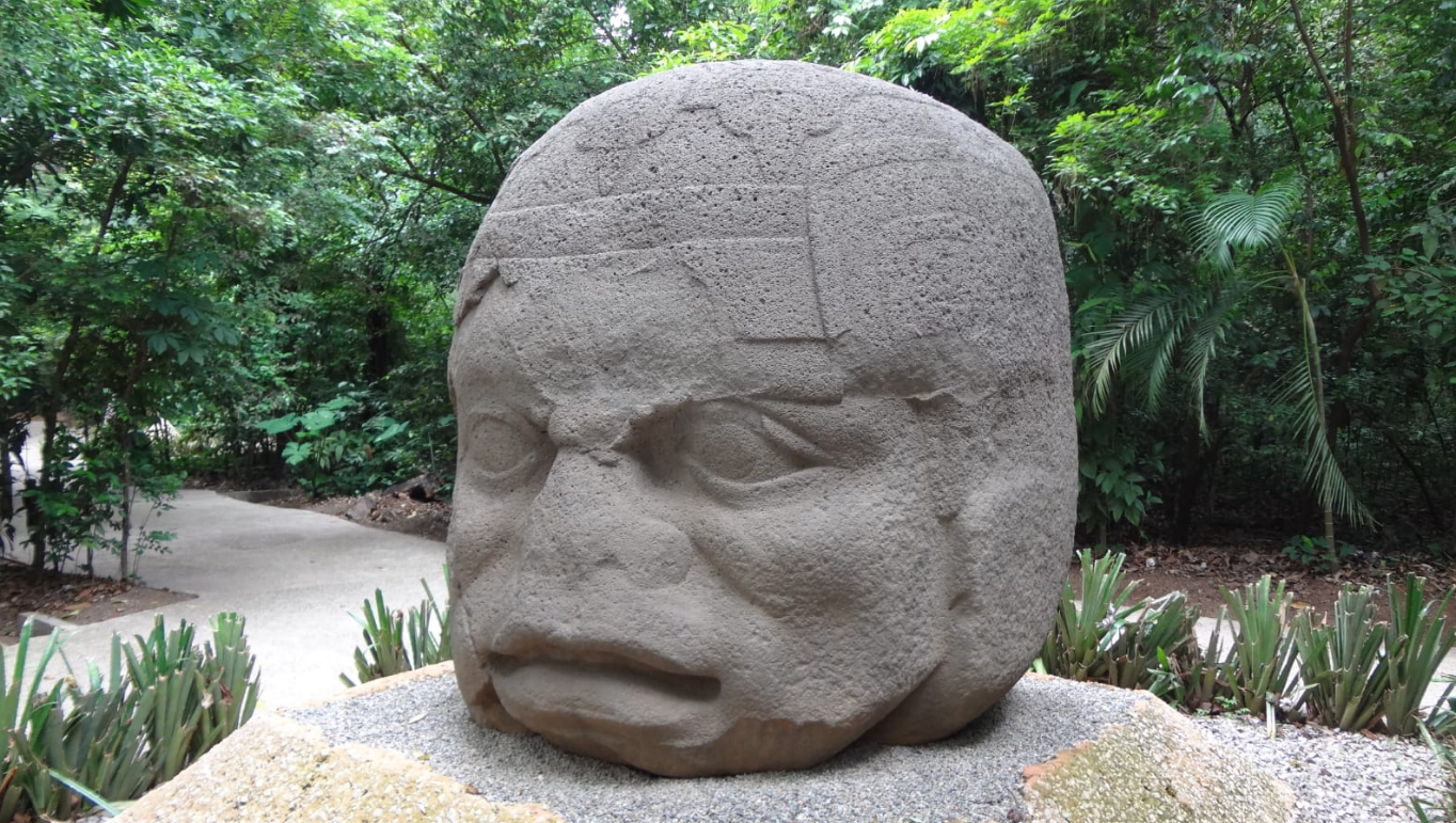 Servicio de guía en museo La Venta